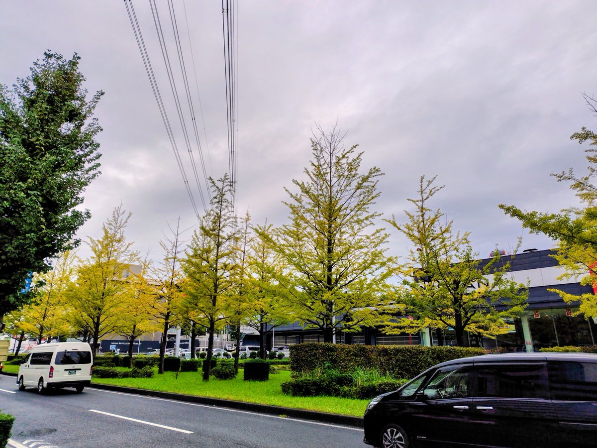 919non's tweet photo. 今日も１日雨降り予報
今朝は年1の市の検診へ行き毎年恒例のデニーズでモーニング🍴

朝食はしっかり食べる派です😊
多摩ニュータウン通りの車の往来や銀杏の木の様子を観ながら
のんびりモーニングTime
日々時間に追われているとしみじみ思ったり…笑
今、至福時間を過ごしています😊☕ https://t.co/x5MGy4m48a
