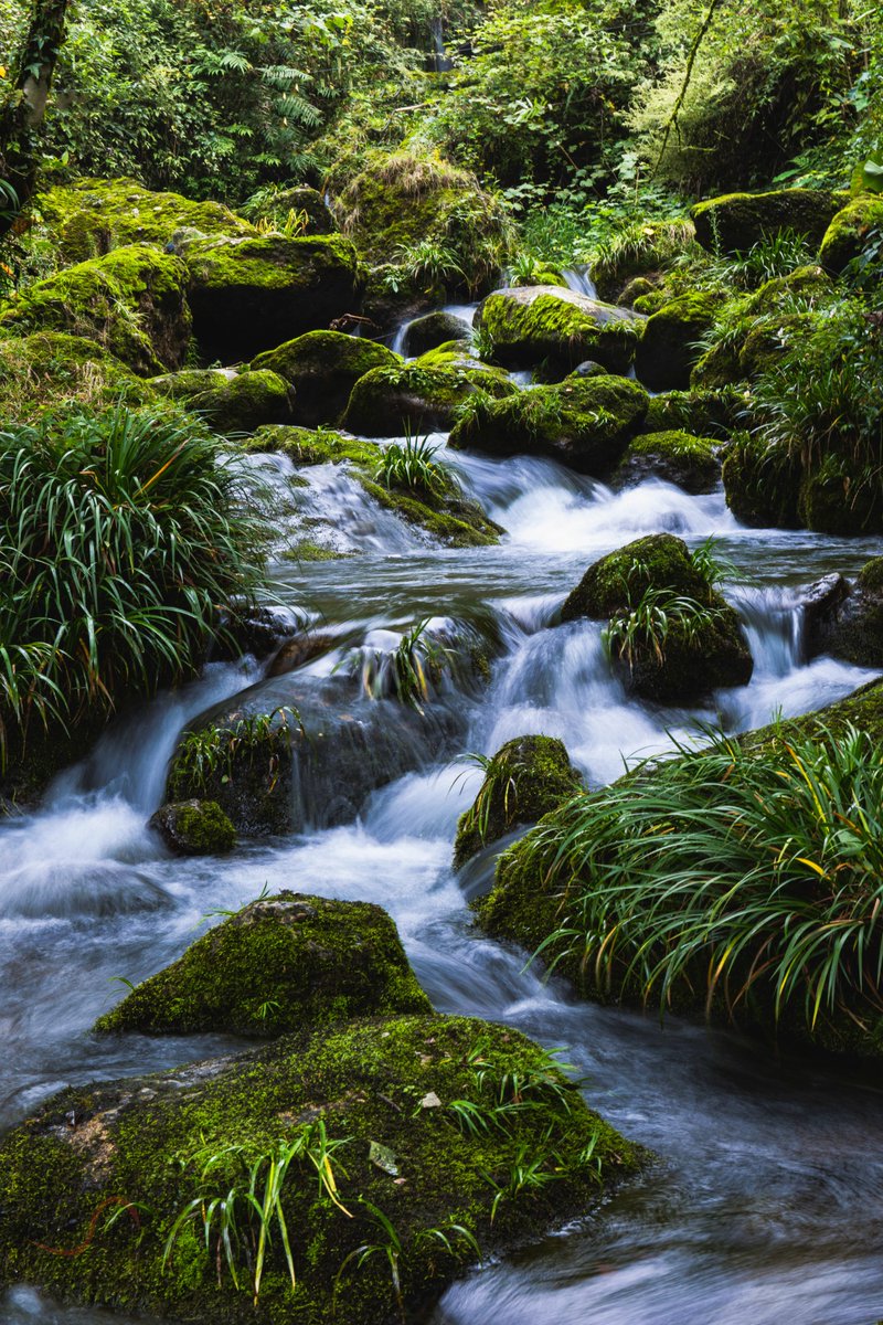 tyb6fAx3TeozBpc's tweet photo. A quiet day at the mountain pass—ripples from the stream dance, no sneaky plots here, just fresh air and scenic views.， https://t.co/5sR75IRnna