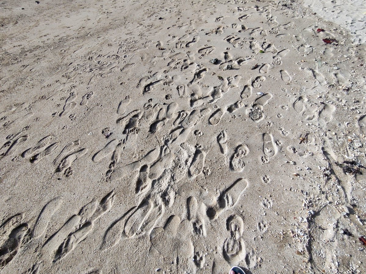 AbhijitB95's tweet photo. The ocean, the sunrise, and your footprints—sometimes, that’s all you need for a perfect morning.” 🌊☀️👣 #GodMorningTuesday #SandFootPrints 😌 https://t.co/oXUVLbpQXo