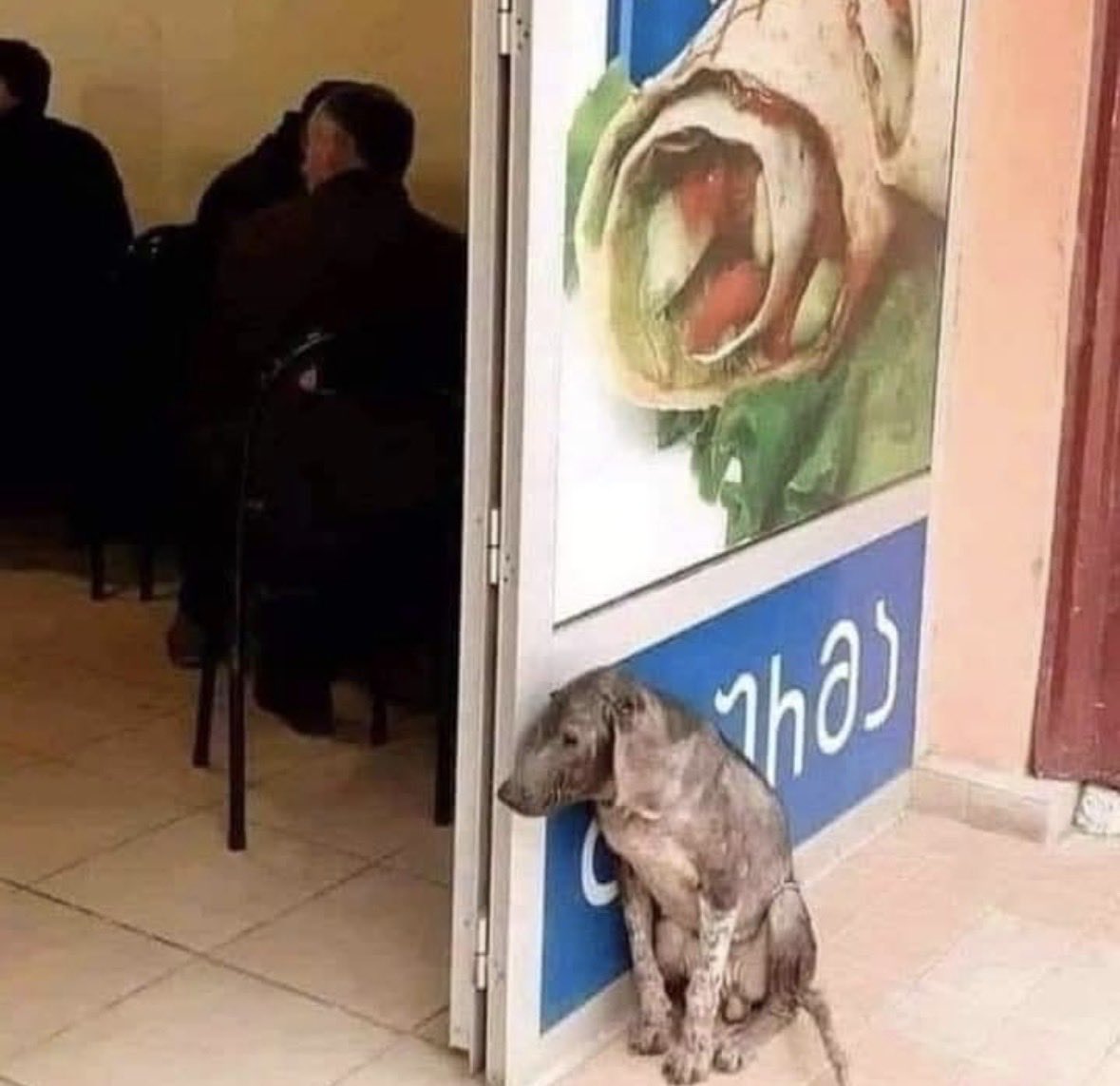 Gabriel_Cas_Cer's tweet photo. 👉¿Alguna vez has notado que un perro te observa en silencio mientras comes?
¿Alguna vez te has preguntado qué pasa por la mente de los perros?
Los perritos no tienen idea de por qué no puede comer las cosas que tú estás comiendo, no saben que se necesita dinero para comprar comida.
Él no sabe que el humano que está observando en silencio no piensa en su hambre.
Todo lo que puede hacer es quedarse ahí con la esperanza de que una pieza se caiga al piso sucio 😭
¿No es el hambre un instinto universal de todos los seres vivos?
ABRE TU CORAZÓN
Alimenta a un peludo callejero y estarás alimentando tu alma 🙌🙌🙌