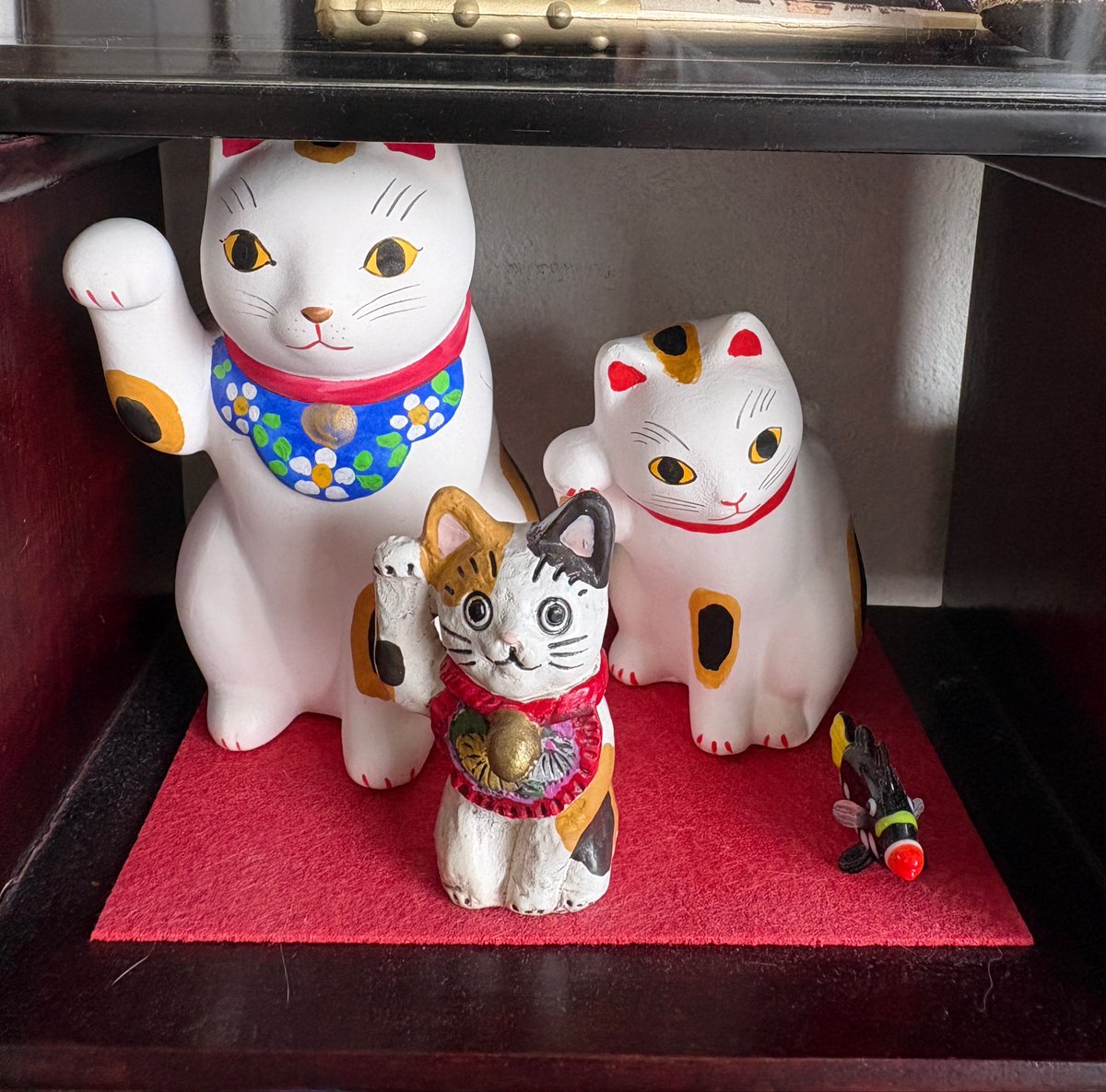 SeaisSunshine's tweet photo. 今日は招き猫の日だそうです。
我が家の招き猫オールスターズをおひろめ
#招き猫の日 https://t.co/5l33fjKVnH