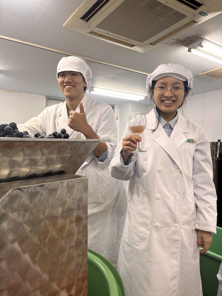 abio_chan's tweet photo. 今日は赤ワインの醸造実習🍷✨
搾りたて果汁を味見！
ワイン用ぶどうは食用ぶどうよりも糖度が高く酸味が弱いので甘く感じます！ https://t.co/FBVtwdpJCi
