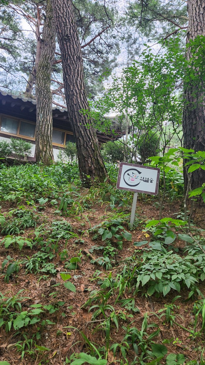 GeunJung3's tweet photo. @ceolmh3 꼭대기 대웅전까지 올라가는것도 힘들더라구요.
그리고 거기서 적멸궁까지 찍고 내려오면 왕복 12km정도 됩니다. 가을단풍시즌엔 문전성시로 주차가 힘들고 한가할때 가보세요. 추천드립니다. https://t.co/zv0Zg9tP5e