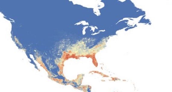 PeterHotez's tweet photo. Here’s the Aedes aegypti risk map from @eLife the entire Gulf of Mexico is at risk (Gulf of America too) from TX to FL that could mean not only the return of dengue, but also Zika, Chikungunya, attached are my concerns about yellow fever as well, it’s why we organized a school of tropical medicine in the @TXMedCenter https://t.co/fSiIazwJZG