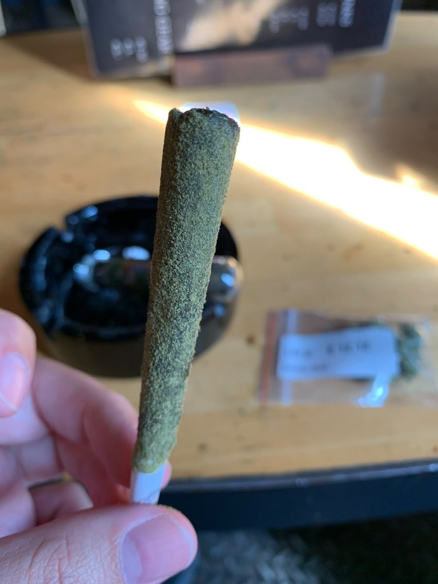 phnx182's tweet photo. @HIBISCODJ Tem uns coffeshops em amsterdam que fazem essa técnica bolando um baseado "sem seda" , foi sem dúvidas a maior porrada de thc que ja tomei kkkkk https://t.co/hOIB0mul1B