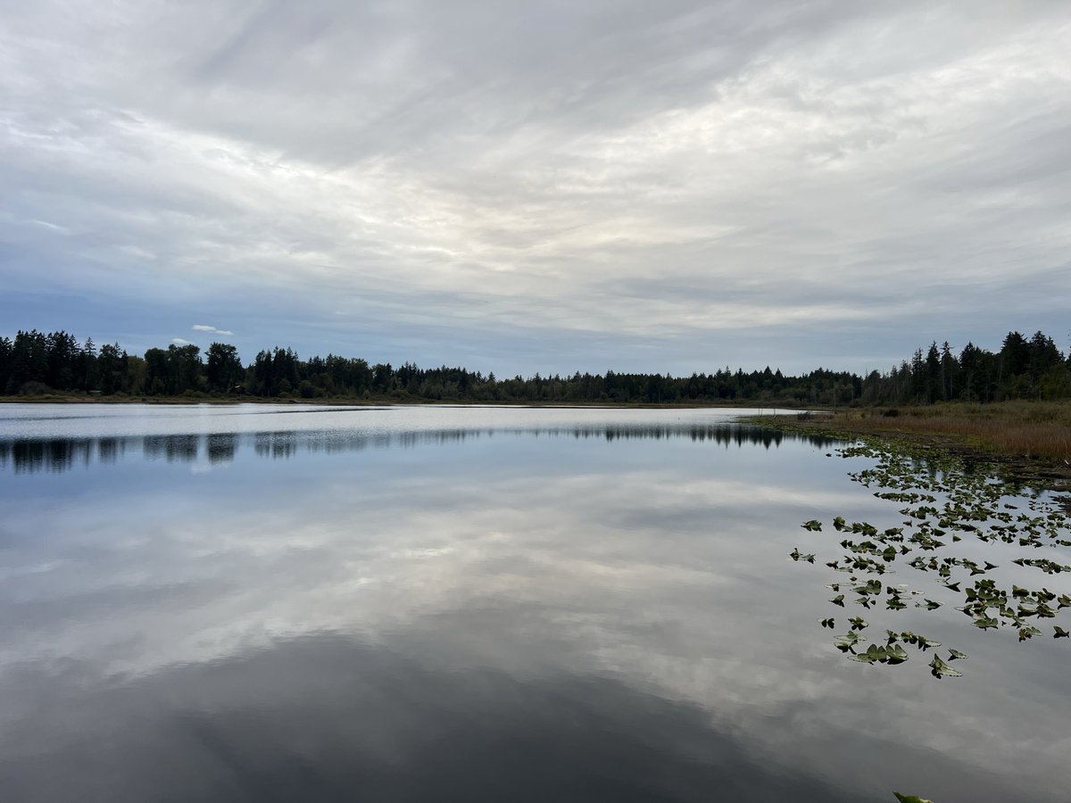 fodoist tweet picture