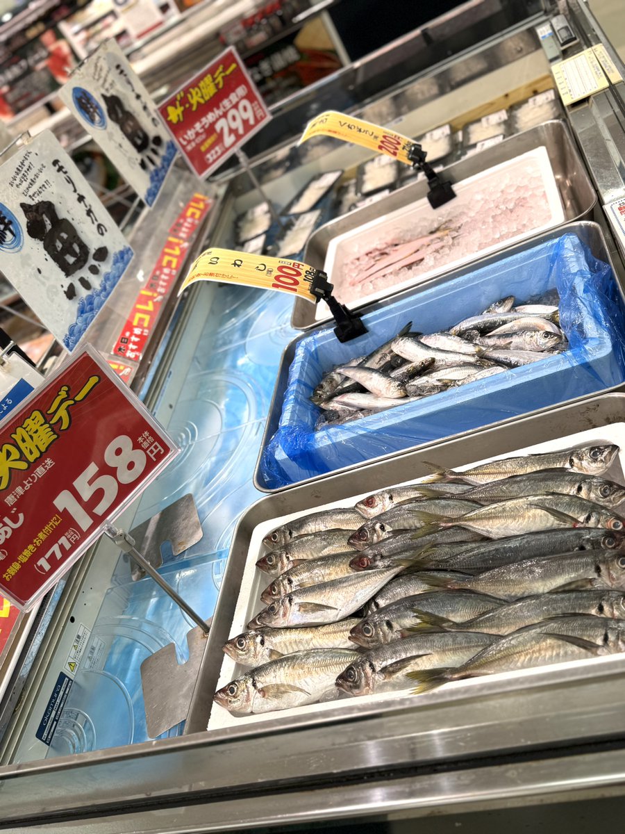 13_morinaga's tweet photo. 本日火曜日の「火曜デー」おすすめ鮮魚！🐟🔥

唐津より直送！ピチピチ新鮮なあじが1尾158円！
お刺身、塩焼き、お煮付けにも最高です✨   
さらにいわしも1尾100円と超お買い得！   
今夜のおかずは新鮮なお魚で決まりっ🙌
ぜひお早めにお立ち寄りください！

#鮮魚 
#スーパー 
#モリナガ
#佐賀 https://t.co/NrvXbXLPDw