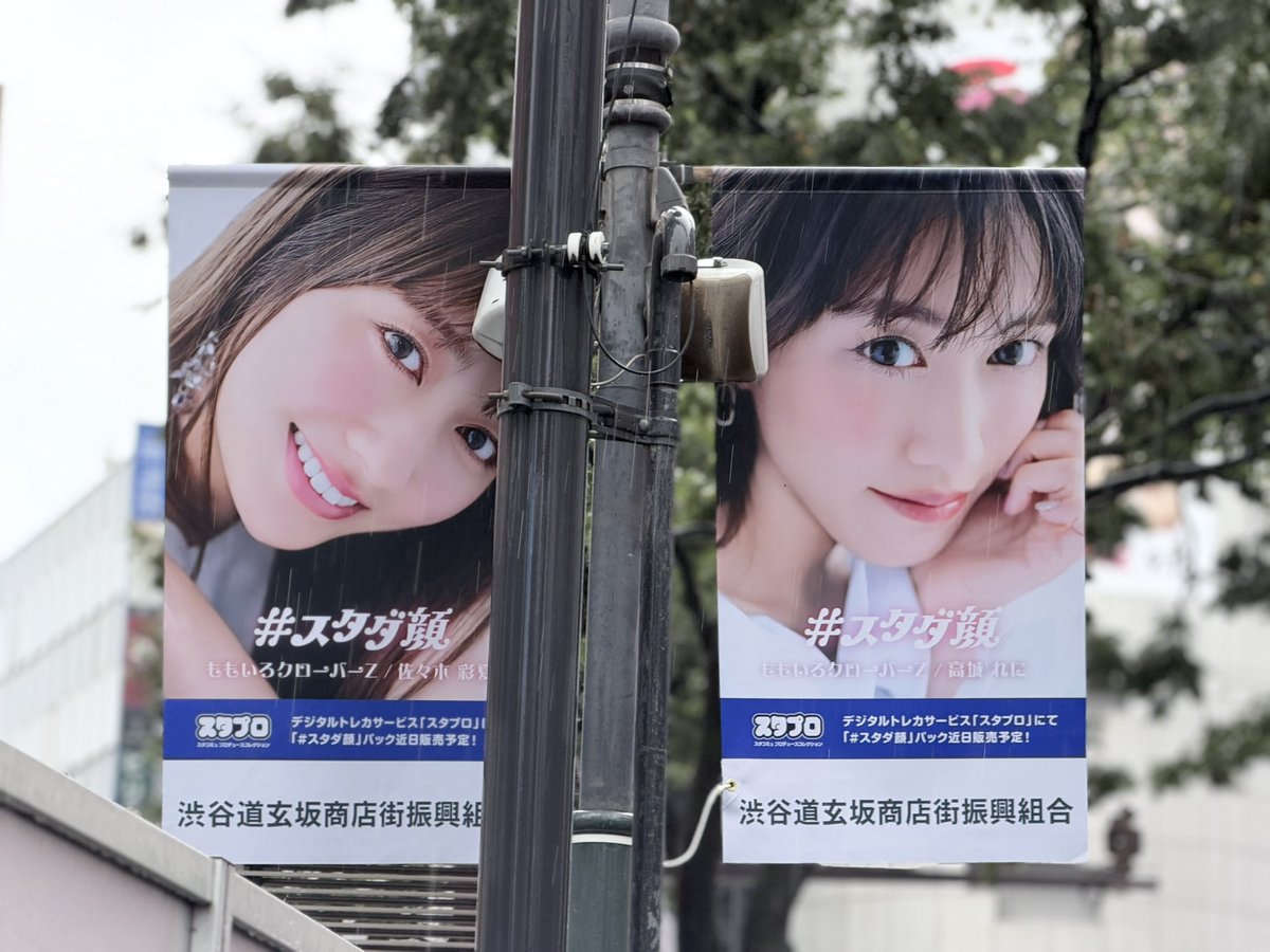 azusa_tmtm's tweet photo. ももたまいもあった！  #スタダ顔 
(各2枚あるのかな？奥まで行けばもっと？) https://t.co/g3xpv54xYC