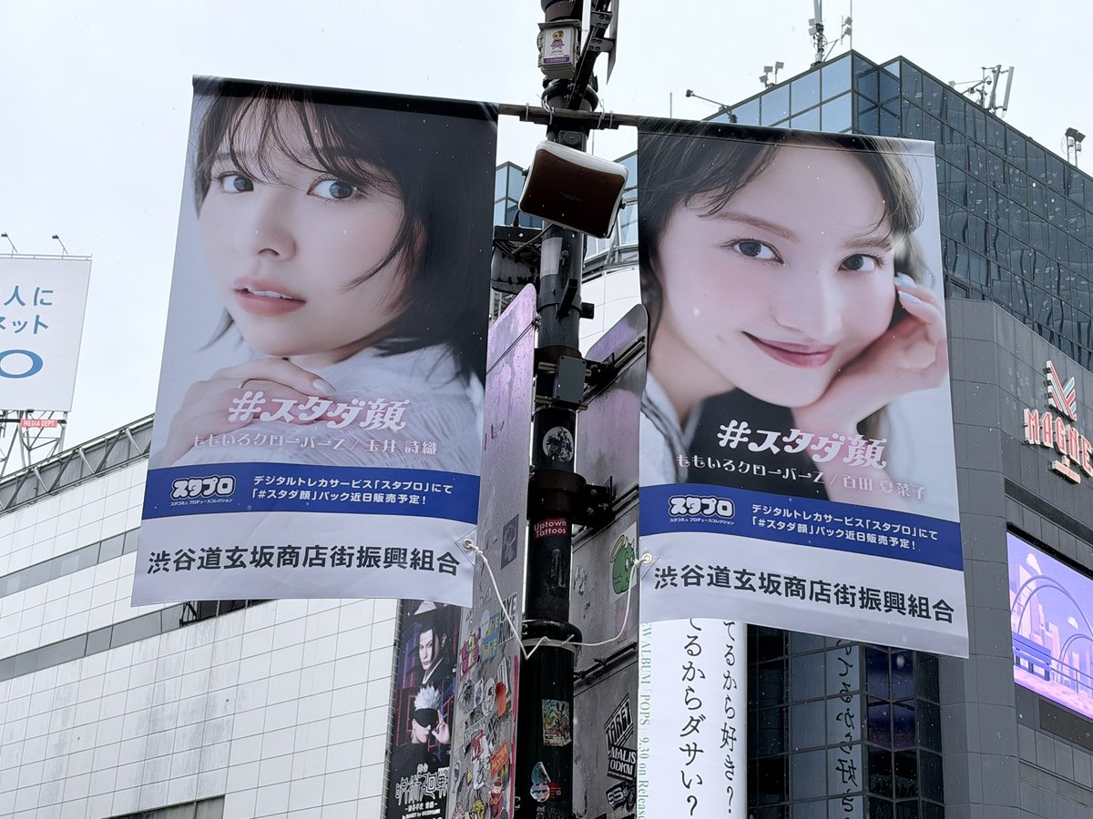 azusa_tmtm's tweet photo. ももたまいもあった！  #スタダ顔 
(各2枚あるのかな？奥まで行けばもっと？) https://t.co/g3xpv54xYC