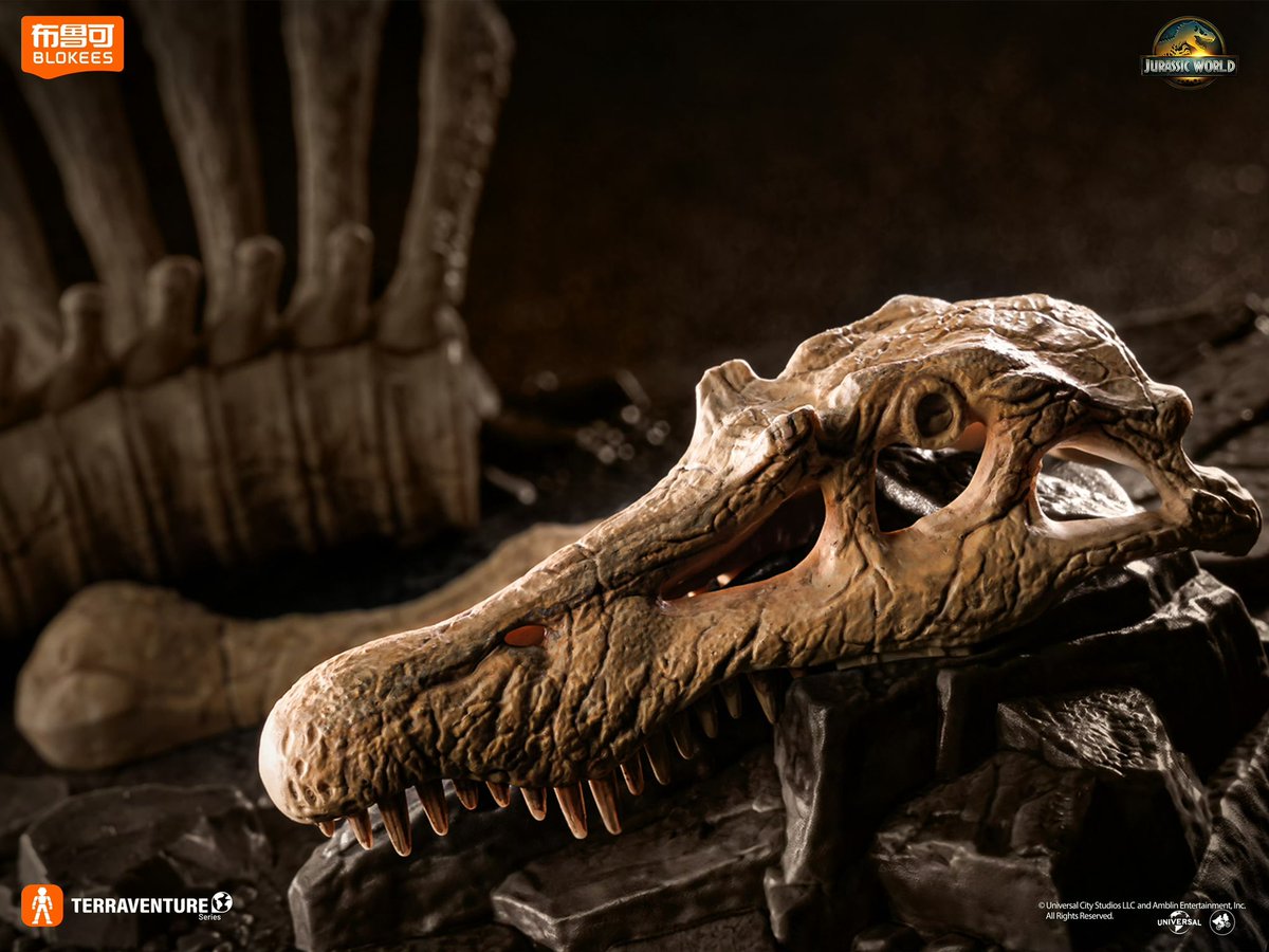 HowmanyWhy36227's tweet photo. Blokees Jurassic World / Park 
Spinosaurus Fossil Scene Base Expansion Pack for Tyrannosaurus Rex model kit figure
Official Images

#BLOKEES #ブロッキーズ #JurassicPark #dinosaur #JurassicWorld #Tyrannosaurus #ジュラシック #ティラノサウルス #Spinosaurus #toy 
#actionfigure https://t.co/DMV20eg1id