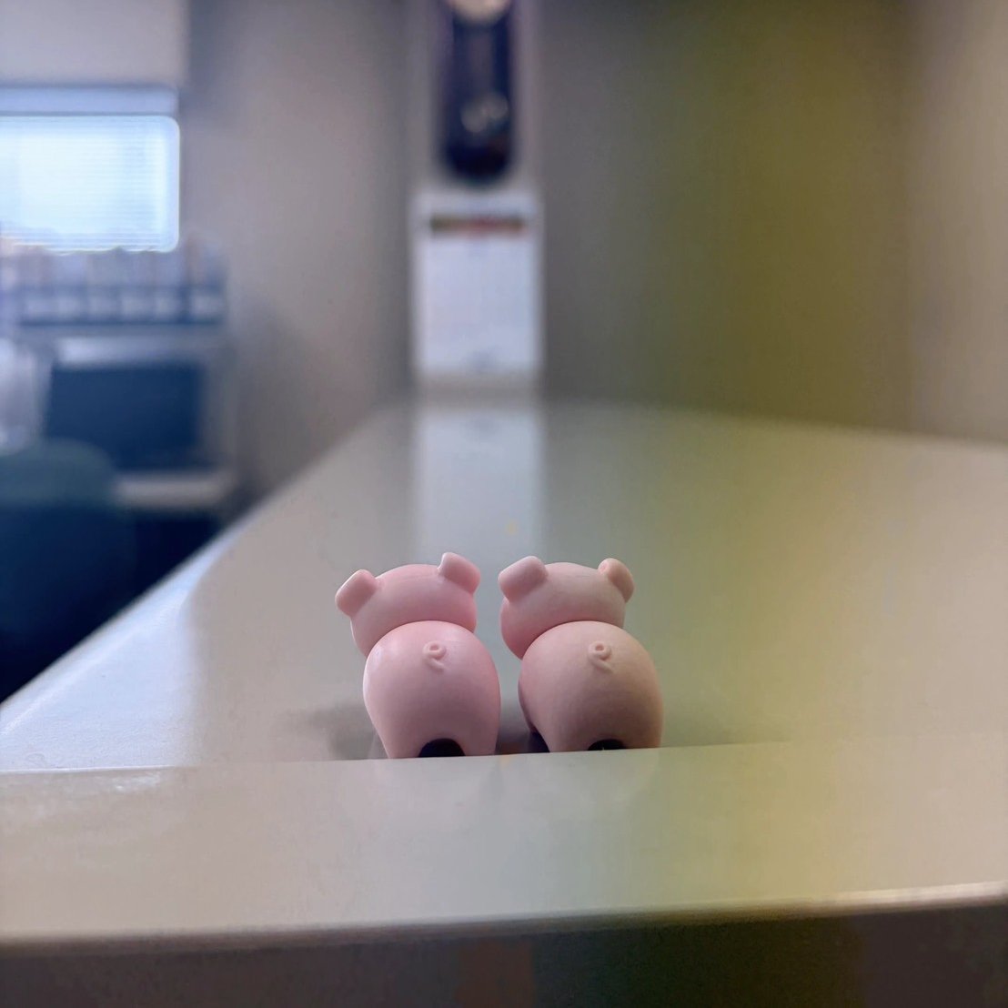 anchiku_jp's tweet photo. 子どもが歯医者さんでもらうたびに集めてくれている、ぶた消しゴム🐷

仕事中、目に入るたびにかわいい。

ちなみに……
後ろ姿もかわいいんです。
ちゃんとしっぽまで🐷笑 https://t.co/S4GTgu5aco