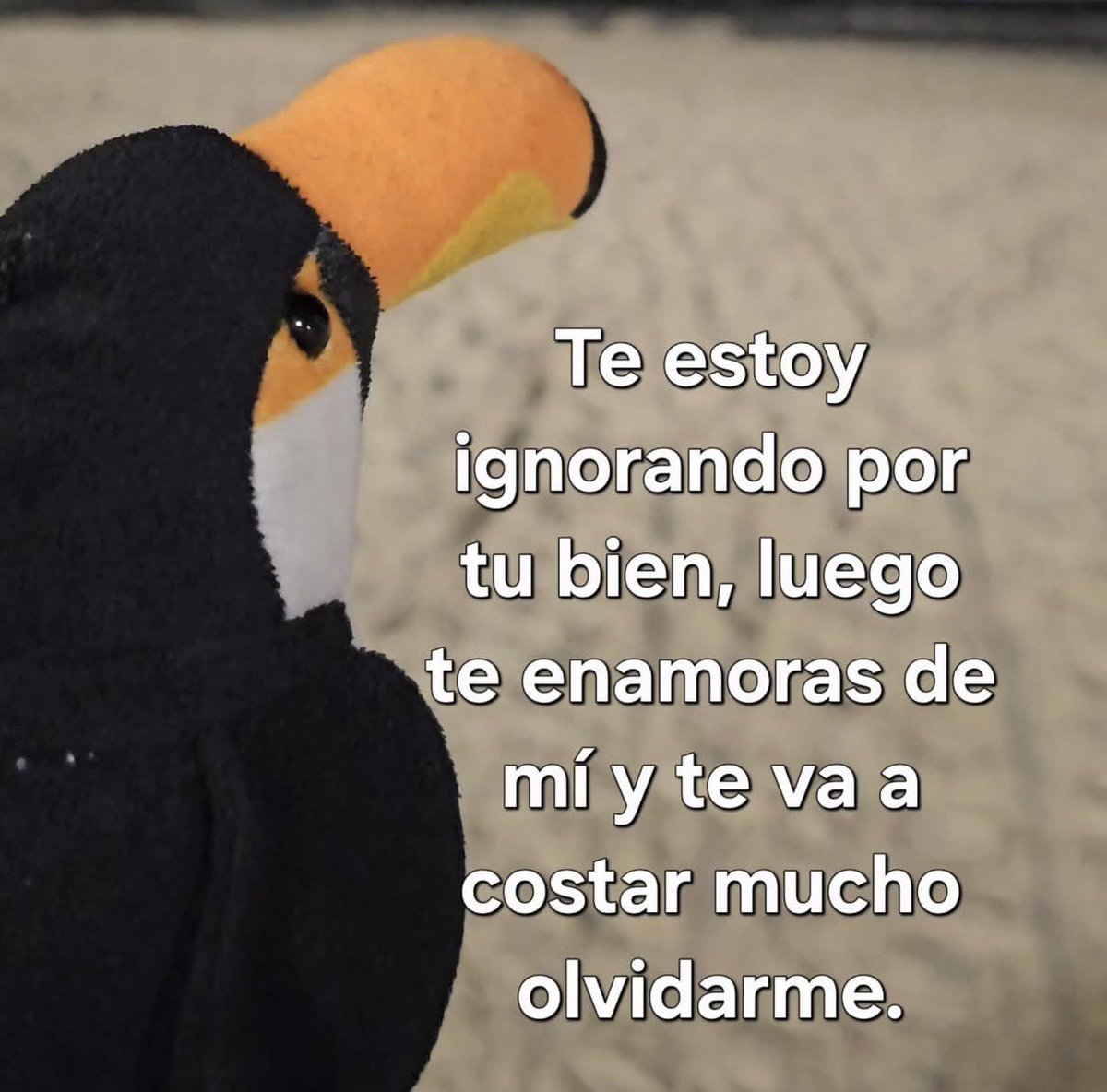 CaribbeanWoman_'s tweet photo. Yo cuando me reclaman que no les contesto 🙃🫠
🫣 https://t.co/ir4krxwfCI