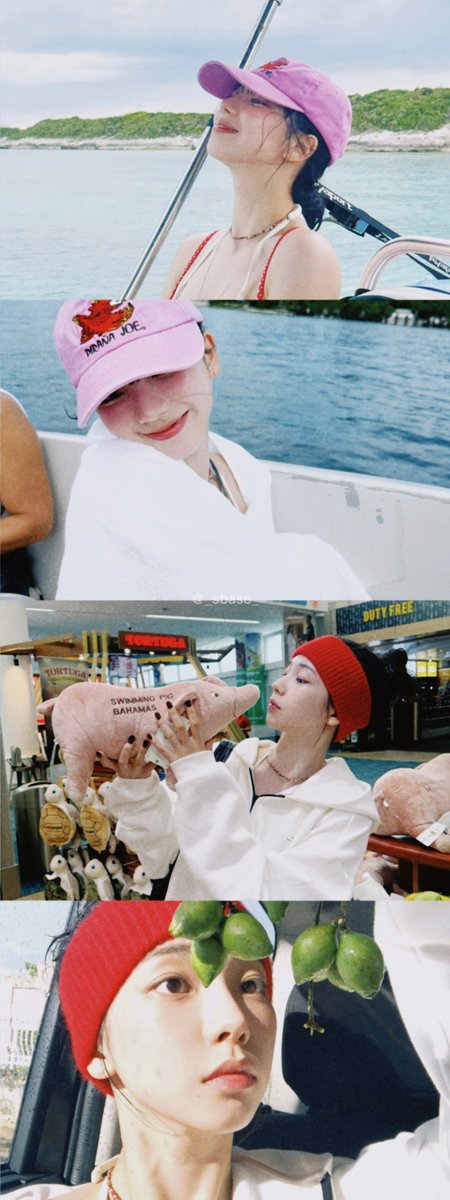 _sbase_'s tweet photo. 🇧🇸🏖️🐷🐷

我們的小金豬與巴哈馬小豬相遇了😍🥰
一大早就被可愛到💙 https://t.co/ksKki75kv4