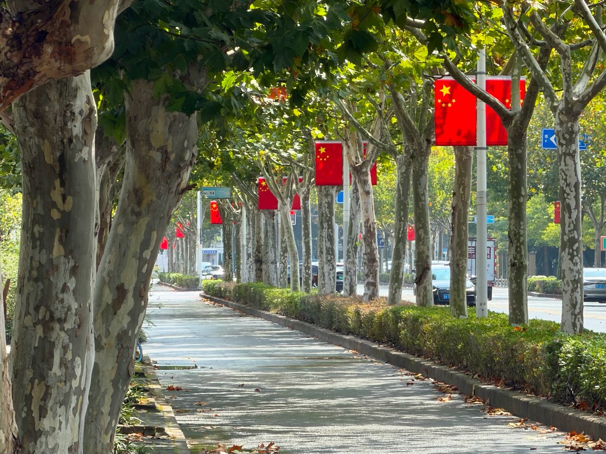 GoSongjiang's tweet photo. #NationalDay vibes are fully on in #Songjiang! Red flags wave proudly by the roads, glowing red lanterns hang above the streets. The entire city is draped in vibrant "#ChineseRed", brimming with joy to welcome our National Day! https://t.co/vobnQzSiZ3