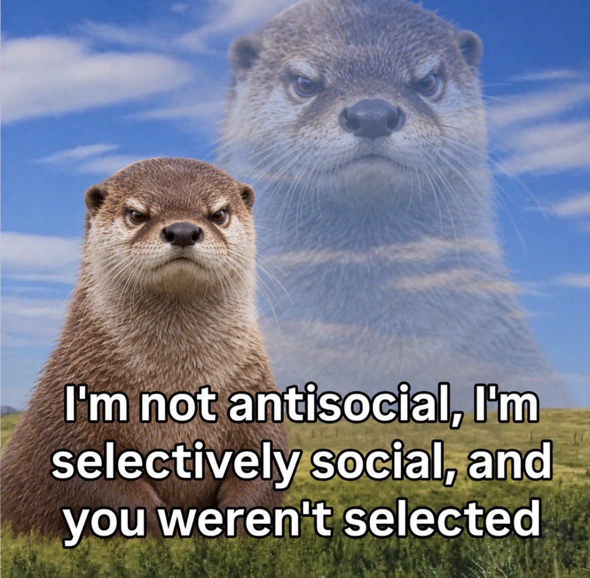 The Otter Council Has Rejected You