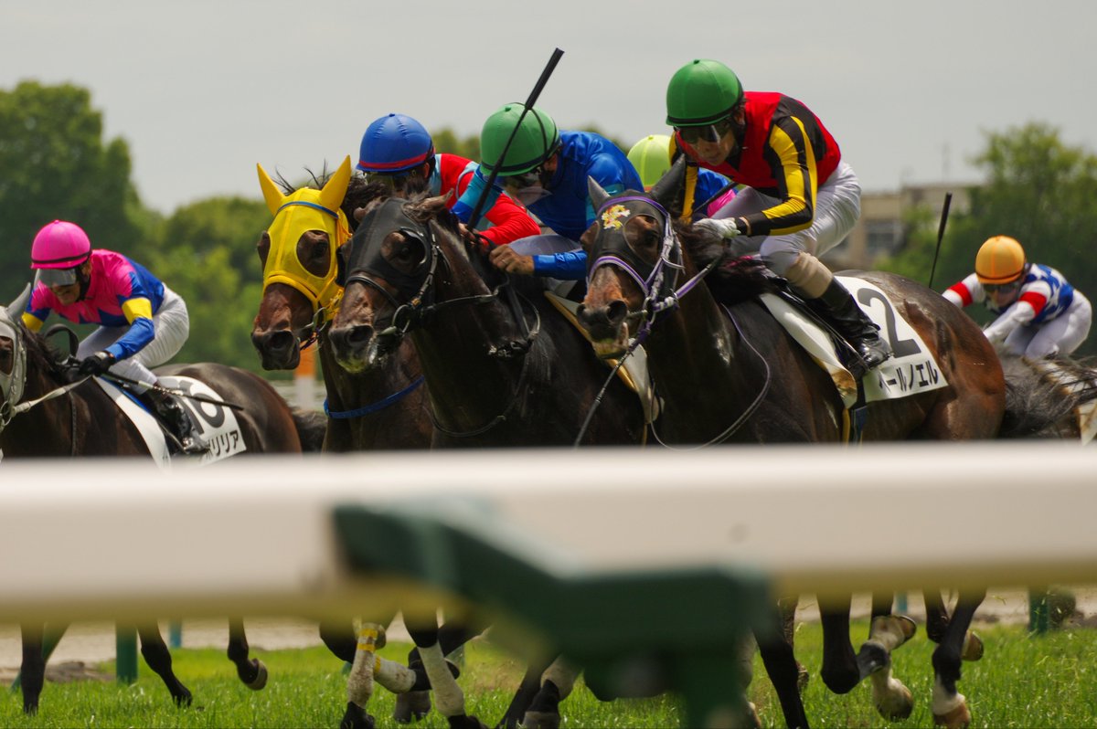 taramopicture's tweet photo. 2026/05/24
京都競馬場

あまりの高低差に耳キーンなるわ https://t.co/6maMtEaQTn