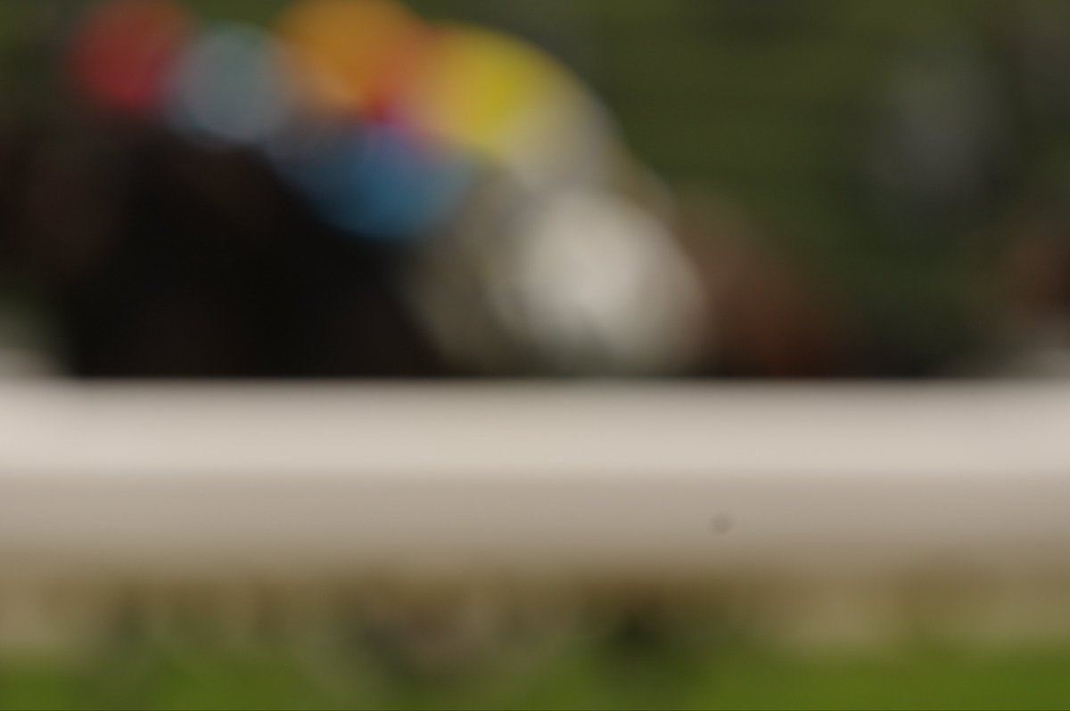 taramopicture's tweet photo. 2026/05/24
京都競馬場

あまりの高低差に耳キーンなるわ https://t.co/6maMtEaQTn