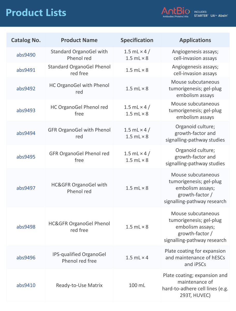 AntBio_'s tweet photo. AntBio OrganoGel for 3D cell culture
▫️Organoid culture
▫️Angiogenesis assays
▫️Stem cell expansion
▫️In vivo tumorigenesis

3 roles: scaffold, biochemical signals, barrier model.
Variants for different experiments.

#OrganoGel #LabReagents #3DCellCulture #AntBio https://t.co/oi5uPrNSu0