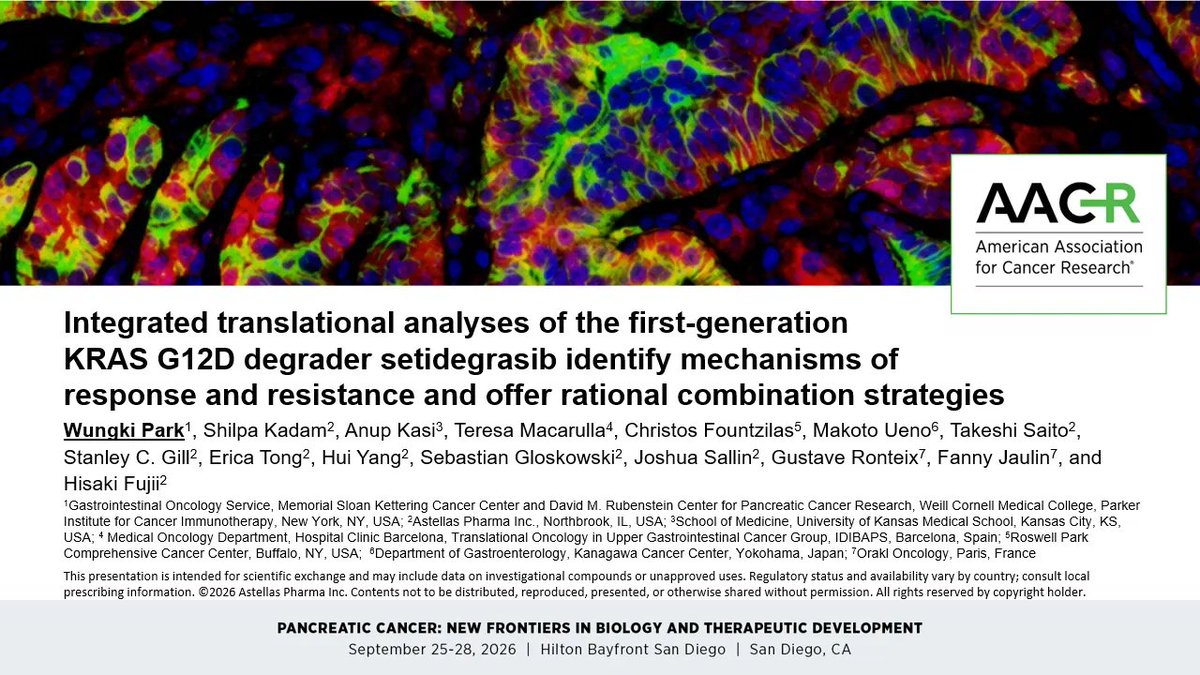 CentralParkWMD's tweet photo. What happens when you actually DEGRADE KRAS G12D in pancreatic cancer?

At #AACRPanc26 we shared translational analyses of setidegrasib, the first-generation KRAS G12D degrader. @AstellasUS

15 paired tumor biopsies let us watch the biology change in patients:

Successful deep KRAS protein degradation.✏️
→↓ MAPK signaling
→ tumor-immune remodeling including Fas/FasL, Granzyme B+ CD8 T cells & PD-L1
→ distinct primary + acquired resistance biology!
→ rational mFOLFIRINOX and maybe immune combinations?

Parallel virtual patient and patient-derived organoids experiment from @orakldotbio predicting the human clinical trial outcomes independently. 

What should we do next?
Patient → biopsies 💉→ biology 🧫→ model → combination → back to patient 

Huge thanks to our coauthors, Shilpa Kadam @anup_kasi @MacarullaTeresa and research teams and above all the courageous patients who made this work possible.

#KRAS #KRASG12D #PDAC #PancreaticCancer #TranslationalResearch #GRIT #sPARKlab 
@MSK_DeptOfMed @MSKCancerCenter @CpcrMsk 
@oncodaily @OncoDailyGI @OncBrothers @PanCAN @lustgartenfdn @Pankind_Aus @NatPancFdn @EileenMOReilly