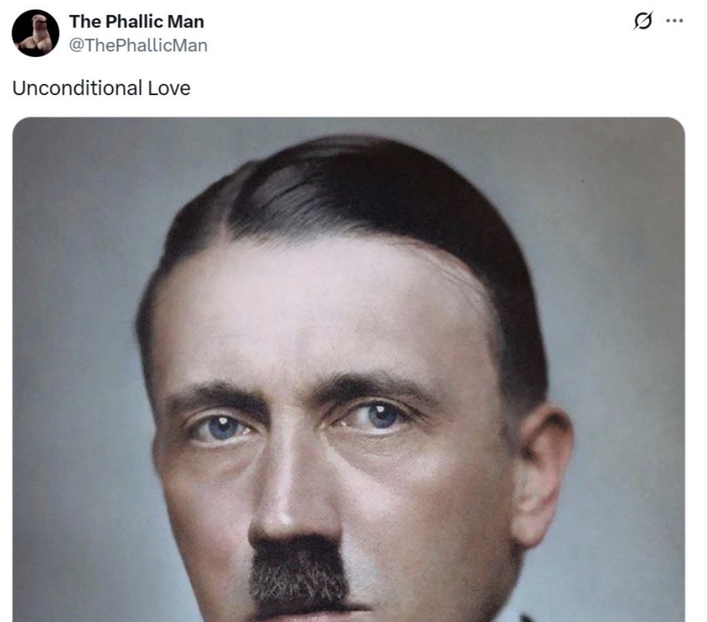 WagnerThomazoni's tweet photo. Mano, via de regra eu sempre desconfio de qualquer acusação de nazismo e apito de cachorro porque são anos de mongolóides esquerdistas banalizando a pauta… Mas tipo… Que porra é essa aqui?

Sério, qual é exatamente a explicação pra essa merda? É meme? É pá ri? Eu genuinamente não consigo entender…

Eu sempre penso “por que caralhos alguém seria nazista? O que levaria um brasileiro a desejar o extermínio de judeus ou pregar algum tipo de supremacia racial em 2026?” e a única coisa que eu consigo pensar é “parece coisa de adolescente abobado querendo pagar de diferentão, que gosta do que é proibido, que quer se sentir o vilãozão ou qualquer coisa estúpida assim” e em geral é o que mais faz sentido mesmo… Basta ver que é exatamente o comportamento da esquerda “anti-sionista” e “satanista”, que nem o mongoloide do SSantinelli que antes se orgulhava de fazer bullying com judeu e hoje se orgulha de ir pro Vaticano com camisa satanista como um eterno moleque de 13 anos.

O problema é que ao que tudo indica o maluco desse perfil não é só um adolescente esquisito… É um bilionário, herdeiro de uma família que usa uma cruz de ferro no próprio logo (o que fica bem esquisito dado o contexto desse perfil) e que está ativamente financiando um grupo político…

Até agora eu não vi uma única explicação razoável pra essa porra…

Realmente existe um processo em que o advogado do MBL fala que o dono desse perfil se chama Emanuel e que ele tá junto com o grupo… Realmente teve confissão do Renan de que ele é um dos doadores do partido… Realmente eles se orgulhavam de um artigo elogioso escrito por esse cara em uma revista cheia de matérias pra lá de bizarras…

Eu juro que comecei torcendo o nariz pra toda essa história porque, como disse no começo do texto, minha primeira reação ao lidar com qualquer acusação de nazismo é pensar “lá vem, mais uma lorota retardada de apito de cachorro”, mas dessa vez não é só um copo de leite, um símbolo estranho com a mão ou mesmo um logo suspeito… O maluco fala com todas as letras que ama Hitler e que defende o genocídio de negros e idosos…

Que porra o MBL tá fazendo? Até semana passada eu verdadeiramente achava que a pior coisa sobre o movimento era a defesa do voto nulo e o comportamento totalmente animalesco da militância… Nem na pior das hipóteses eu imaginava que essa história poderia escalar tanto…

Eu não tô fazendo esse tweet como uma acusação, eu estou realmente em choque e querendo respostas… Qual é a explicação?? Eu assisti vídeos e trechos de live do MBL e até onde eu vi foram apenas tentativas de sair pela tangente mudando a narrativa e caindo em contradição… “Ah, a gente não sabia que era ele” “Pode até ser ele, mas isso não significa nada” “Ele é nordestino… Não pode ser um neonazista nordestino.” “Sim, ele é financiador do movimento, mas a gente não concorda com os tweets…”

Eu realmente espero que haja uma explicação melhor e mais convincente do que essas… Porque se aquele vídeo do maluco falando “tudo dentro do partido, nada fora do partido” já tava esquisito antes, depois disso aqui eu simplesmente nem sei mais no que pensar…