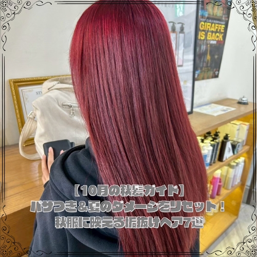 ALPHA_SALON_'s tweet photo. 10月に夏の髪トラブルを完全リセット！？
https://t.co/w8Lpu1SXEv https://t.co/33po9bgdtI