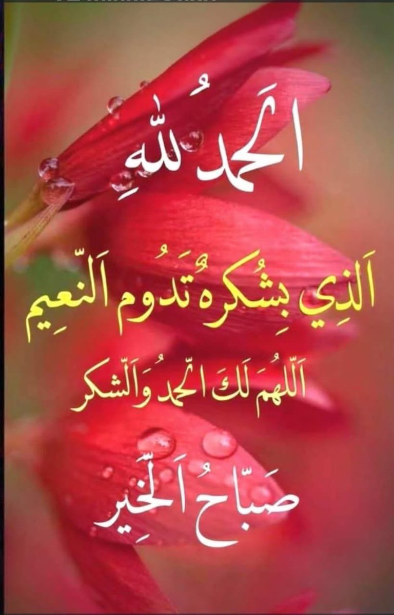 MaashariAli's tweet photo. @malak_h2020 https://t.co/9WUtpjqMwl