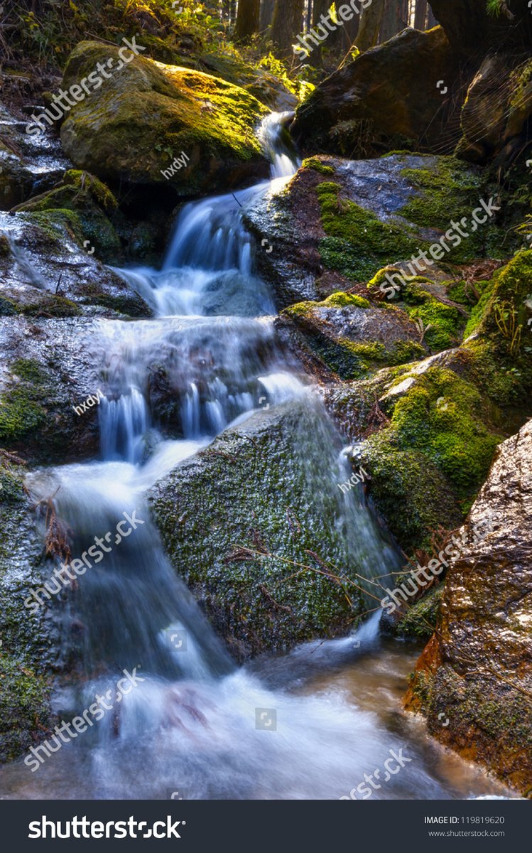 jamesnnho_2_6f1's tweet photo. The autumn hike was stunning, with gurgling streams, a misty waterfall, soft marsh, fresh currency Wait no, corrected to: The autumn hike brought soft mist, a trickling waterfall, calm marsh, and smooth wind—truly a relaxing stroll. https://t.co/OcVLroB9W2