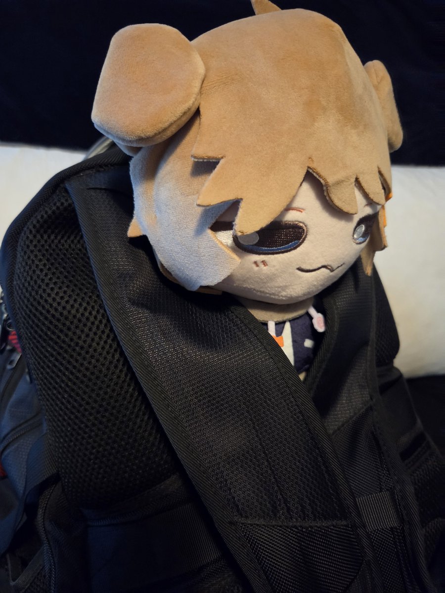 riskofblain's tweet photo. dude i think that backpacks too big for you... youre not ready for skool....
#misoplush https://t.co/B40QBAvBJv