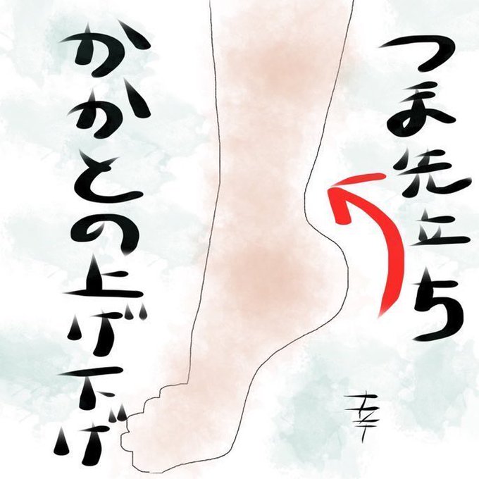 tutiyak's tweet photo. 【台風と秋雨前線のむくみ対策に】

冷えは足元から、ツボ押しや入浴のほかにお勧めの気軽な体操の紹介です。

つま先でかかとの上げ下げをしてふくらはぎを動かします。

下半身に溜まった血液が心臓に戻り、血流が良くなり脚の冷え症改善につながります。足は第2の心臓です。 https://t.co/VsfpzuhI9z