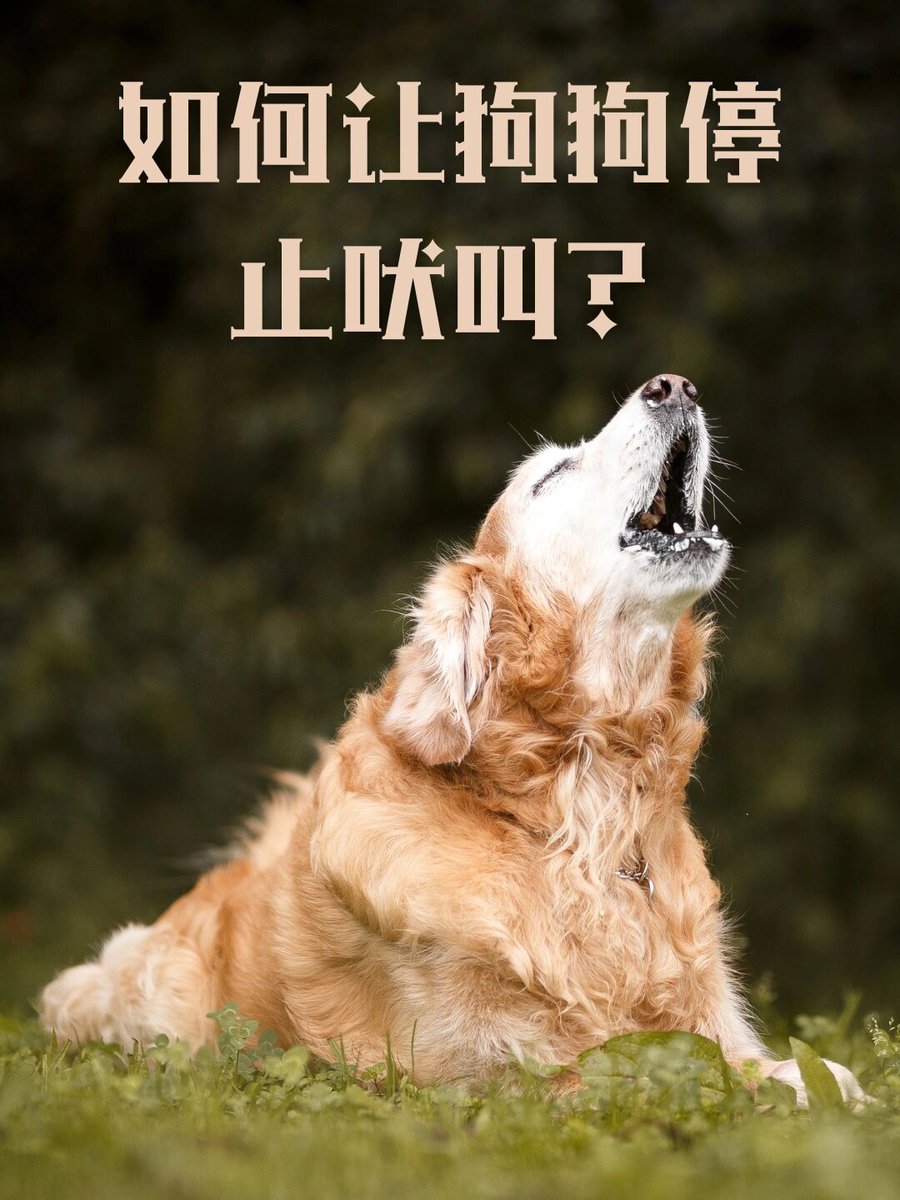 Yulmu0509's tweet photo. The cool wind blows, a dog barks, I feel so frustrated that it makes me want to rest.， https://t.co/NPfIdZ5srh
