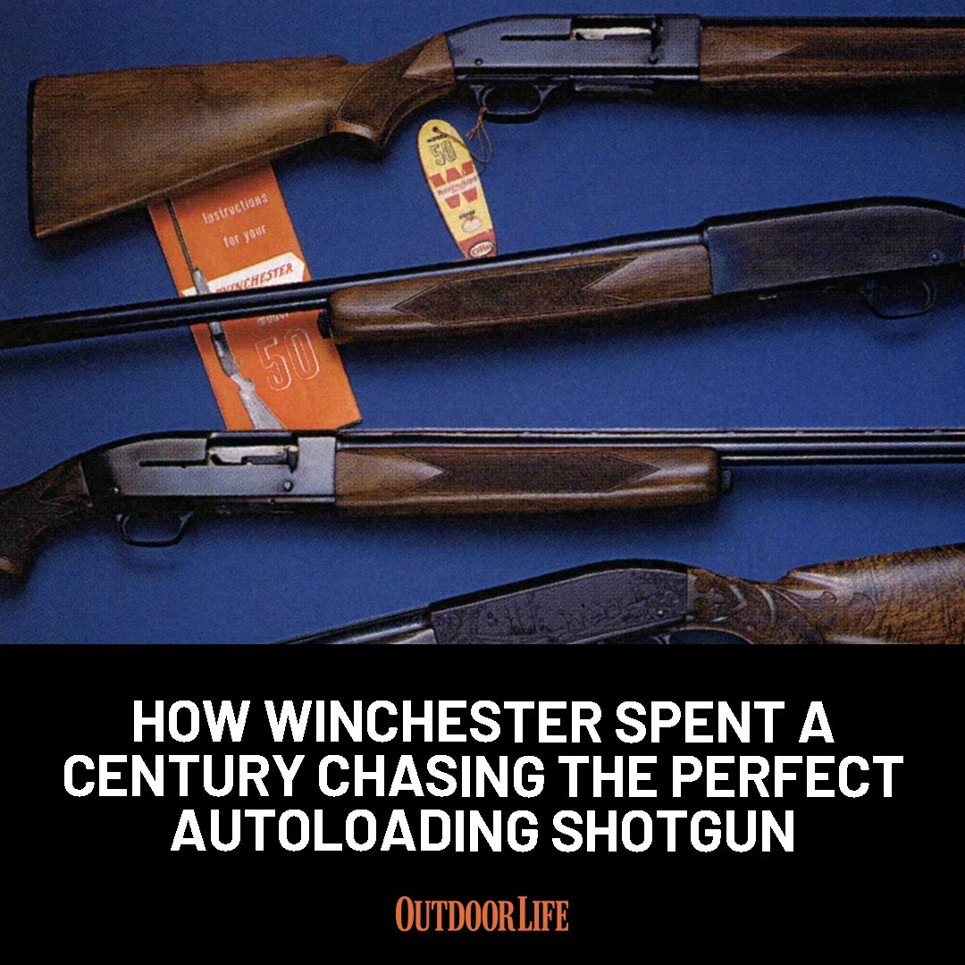 outdoorlife's tweet photo. Winchester’s quest for the perfect autoloader has a long and intriguing history: https://t.co/89EVOoQR9B https://t.co/ly7wenhmY1