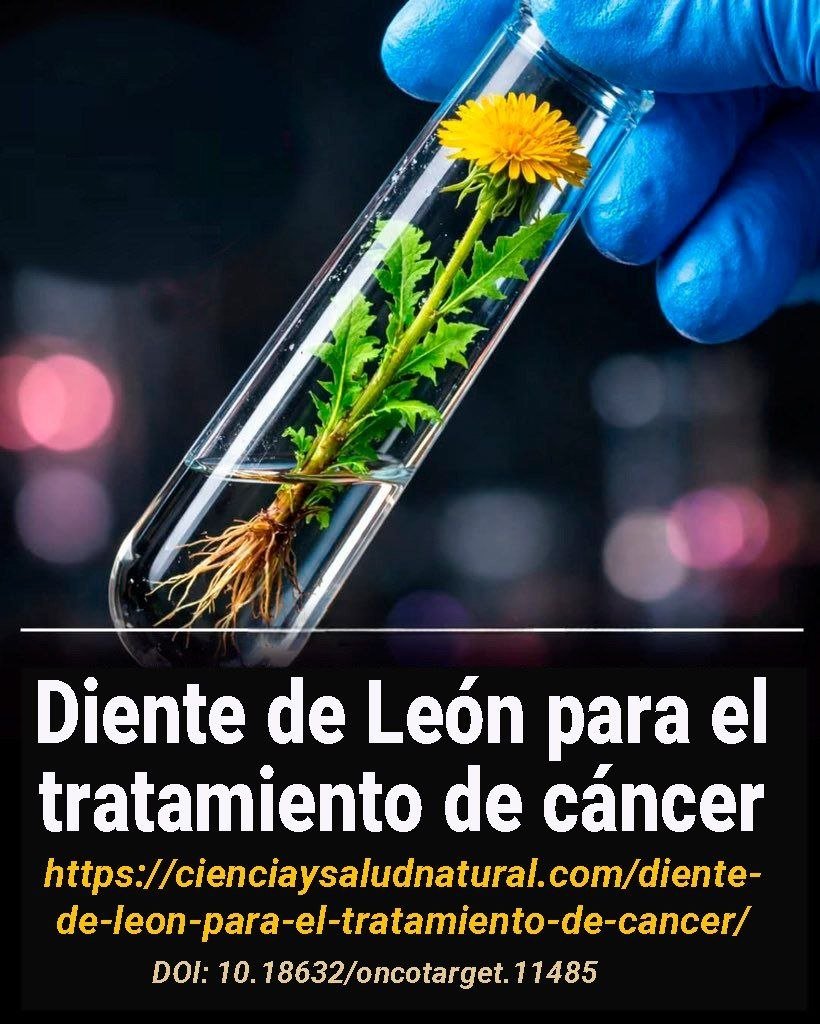 elzorrotacneno's tweet photo. - Destruyó el 95% de las células de cáncer de colon in vitro.
- Redujo el crecimiento del tumor de colon humano en ratones en un 90%.
- Mostró cero toxicidad detectable después de 75 días de dosificación diaria.
- Eliminó selectivamente las células cancerosas sin dañar las células normales.
 https://t.co/PMpLuRyJIW