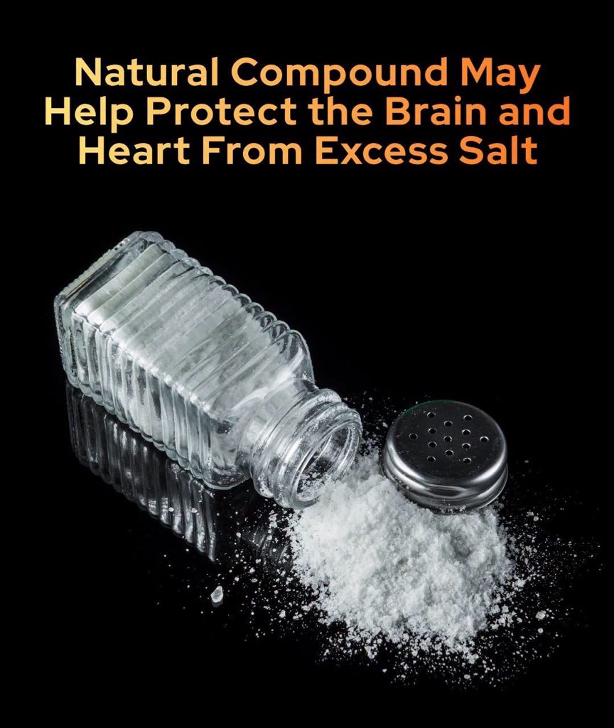 SmartScience's tweet photo. A soy-derived compound could shield for your brain and heart against the damaging effects of a high-salt diet.

Consuming too much salt is a notorious culprit behind rising blood pressure and cardiovascular strain, but recent science reveals its damage extends deep into our cognitive and emotional health. 

To combat these risks, researchers at Fujita Health University in Japan investigated a soy-derived compound called LPC70, a lysolecithin packed with phospholipids. 

When administered to mice on a high-salt diet, LPC70 not only prevented the typical spike in blood pressure but also significantly improved social behaviors and memory retention, suggesting a powerful dual benefit for both physical and mental performance.

The secret to LPC70's protective abilities lies in its unique, organ-specific regulation of prostaglandin pathways. While excessive salt normally triggers inflammation and vascular constriction, this natural compound managed to quiet down harmful inflammatory signals in the kidneys while simultaneously restoring a crucial neuroprotective receptor in the brain's prefrontal cortex. 

Although clinical human trials are still required to confirm these outcomes, this research offers an exciting milestone in developing functional food ingredients that could actively protect aging brains and hearts from modern dietary habits.

source: Kubota, H., Kunisawa, K., Hasegawa, M., Kurahashi, H., Kagotani, K., Nakajima, K., Fujimoto, Y., Hayashi, A., Sono, R., Tsuji, T., Saito, K., Nabeshima, T., & Mouri, A. (2026). Soy lysolecithin attenuates hypertension and behavioral impairments in mice fed a high-salt diet through receptor-specific regulation of prostaglandin signaling and arachidonic acid-derived prostaglandin production. Neurochemistry International, 197.