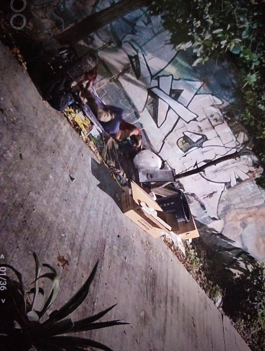 ferlopez75's tweet photo. @sspyuc @CeciliaPatronL
Urgen tener control de las personas en situación de calle y drogaditas. Se limpia el andador por parte del municipio así como de los vecinos. Pero llega y hacen un desastre. Son importar que pasen mujeres o niños a cualquier hora es un problema. https://t.co/Tq1yBtYLr6