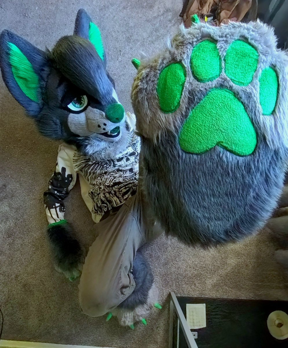 EmeraldPawStash's tweet photo. Hi im Emerald! Needed a place to post the peets so here we are! 
Expect paws, feet, socks and possibly more ;3 ready to get posting so stay tuned 🐾🐾 https://t.co/DBxlg4dqOF