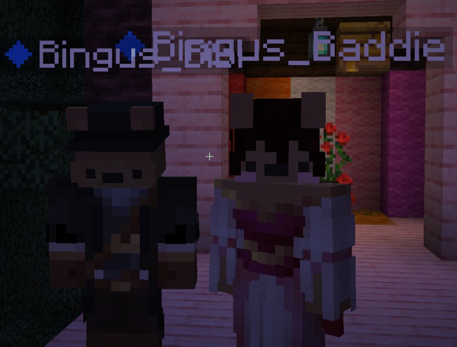 snowached's tweet photo. @Bingus_Bibi reunited with his twin at last π₯Ήπ₯²#heartwarming #bingustwt (i spent 14 dollars on this please be kind) https://t.co/RsLOeRLEDY