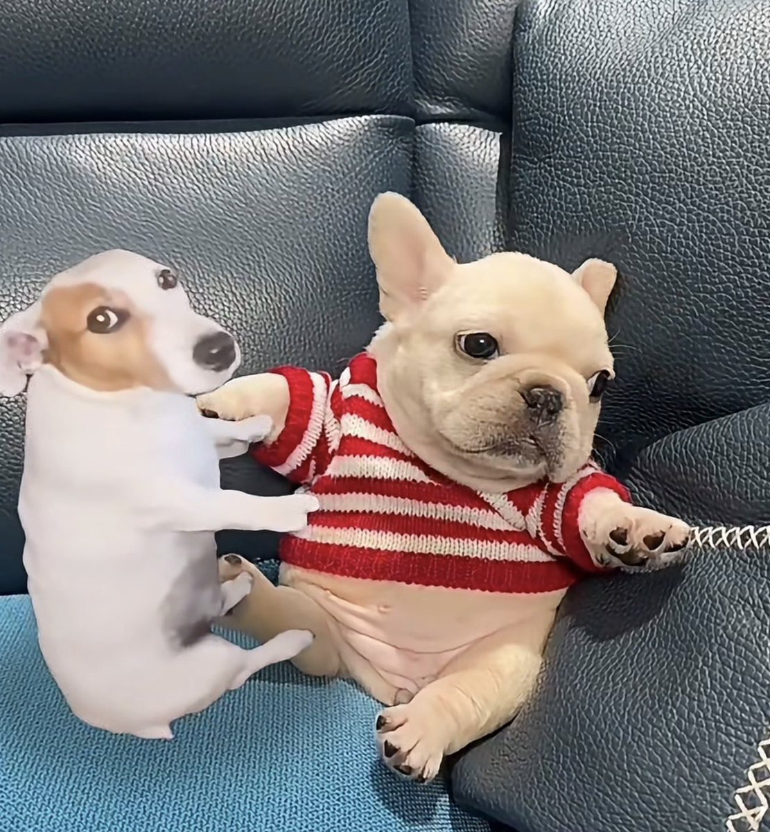 fruitpibble's tweet photo. when you both lowkey awkward https://t.co/eCaNAl6OHk