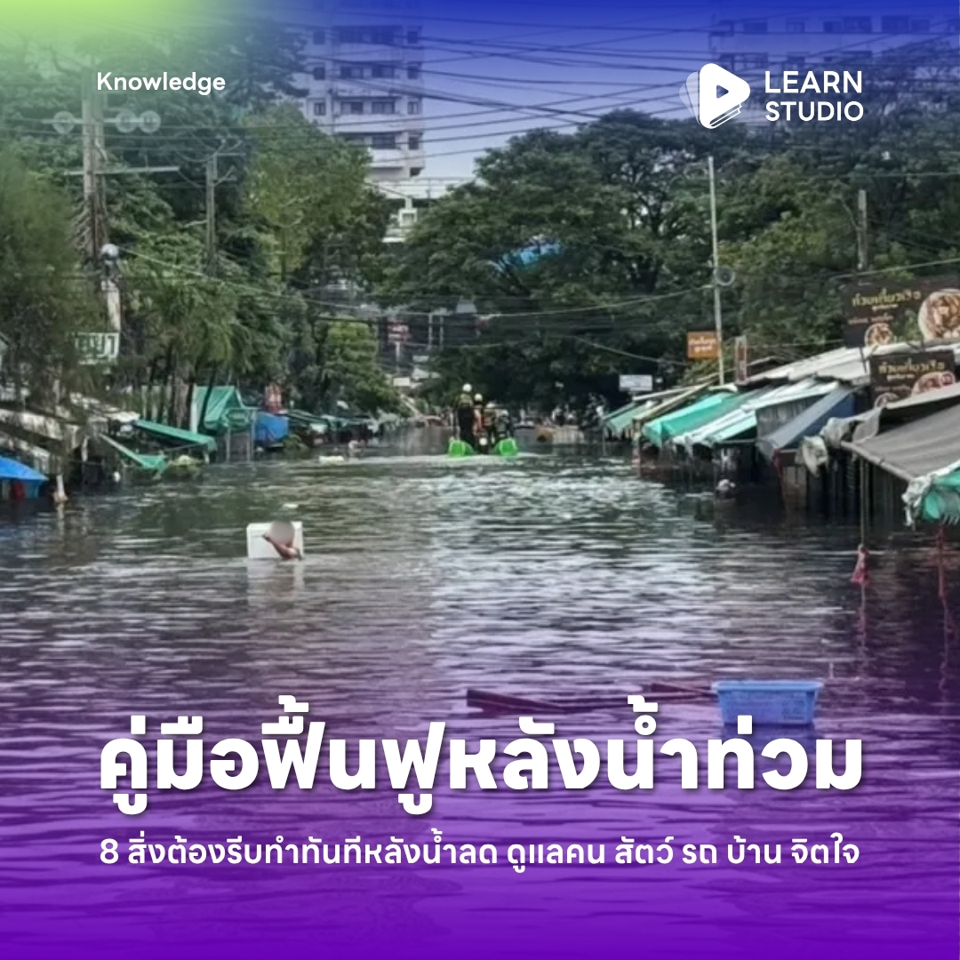 learnstudio_th's tweet photo. น้ำลดอย่าเพิ่งประมาท
รวม 8 ข้อต้องรีบทำทันทีหลังน้ำท่วม
ดูแลคน สัตว์ รถ บ้าน จิตใจ

- ตัดไฟก่อนเข้าบ้าน
- ล้างคราบโคลนขณะเปียก
- กฎเหล็กห้ามสตาร์ตรถ
- ลงทะเบียนรับเงินเยียวยาอุทกภัย ผ่านแอปทางรัฐ

อ่านต่อ 🔗 https://t.co/ZhPFsYaJIi

#น้ำท่วม #ฝนตก #น้ำลด https://t.co/gepo47q9dF