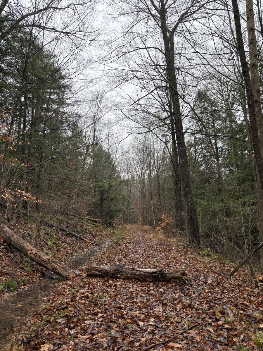 mason_john9176's tweet photo. @USGeocaching @KennyMasonMady A4. A more eerie vibe. Some of my favorites. #USGeocachingHour https://t.co/BGQTZHxddu