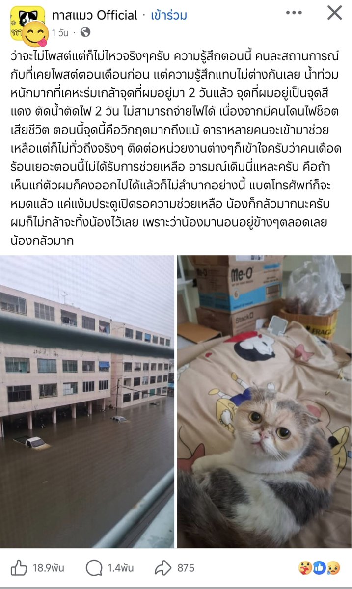 pwhylucky8's tweet photo. ทาสแมวแบบเราเห็นโพสนี้แล้วใจบางจริงๆ 🥹
 ส่งกำลังใจให้ทั้งทาสและแมวน่ะค้าบ💕 https://t.co/FDd1veIRUs