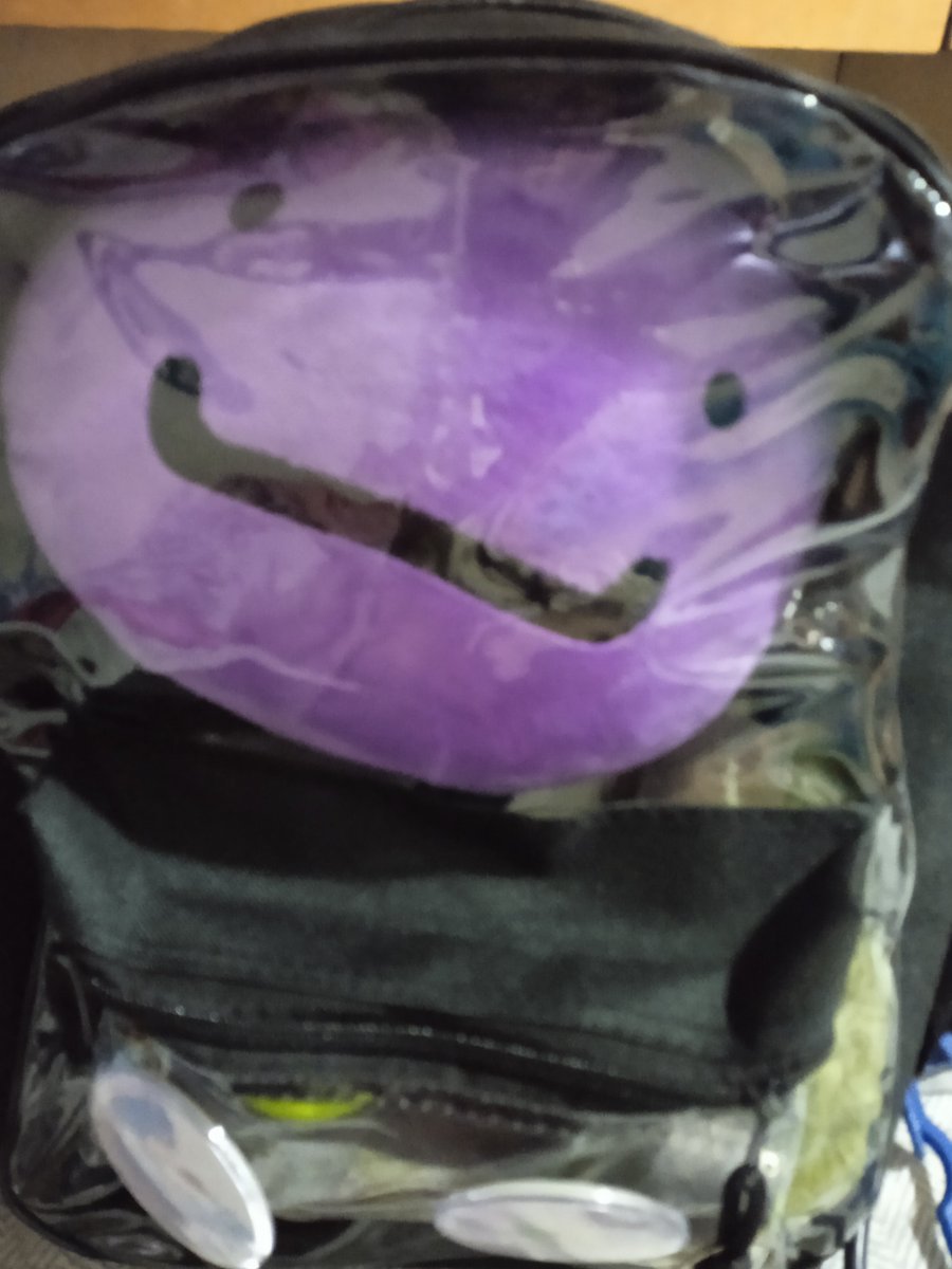 eggchansangel's tweet photo. 😈 get out of my bag!!!! https://t.co/xduhzMID4f