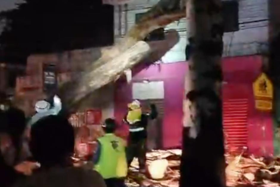 Colonia Bethania está sin luz y sin paso tras árbol caído (video)