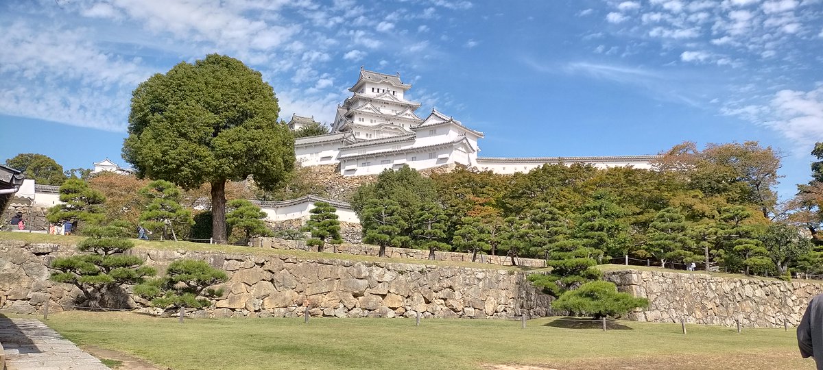 humin_mansiro's tweet photo. 手前でも あきれるほどに 晴れ漢
かいな広げて 白鷺の舞う
#短歌 #journey #姫路城 https://t.co/rPBng4mSU6