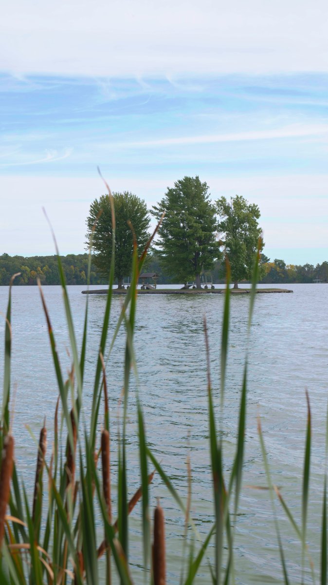 inTECHsity's tweet photo. Spotted this cool little island in the middle of the lake. I wonder if the 3 trees there are natural or were planted... very cool! https://t.co/fLPybDQom0