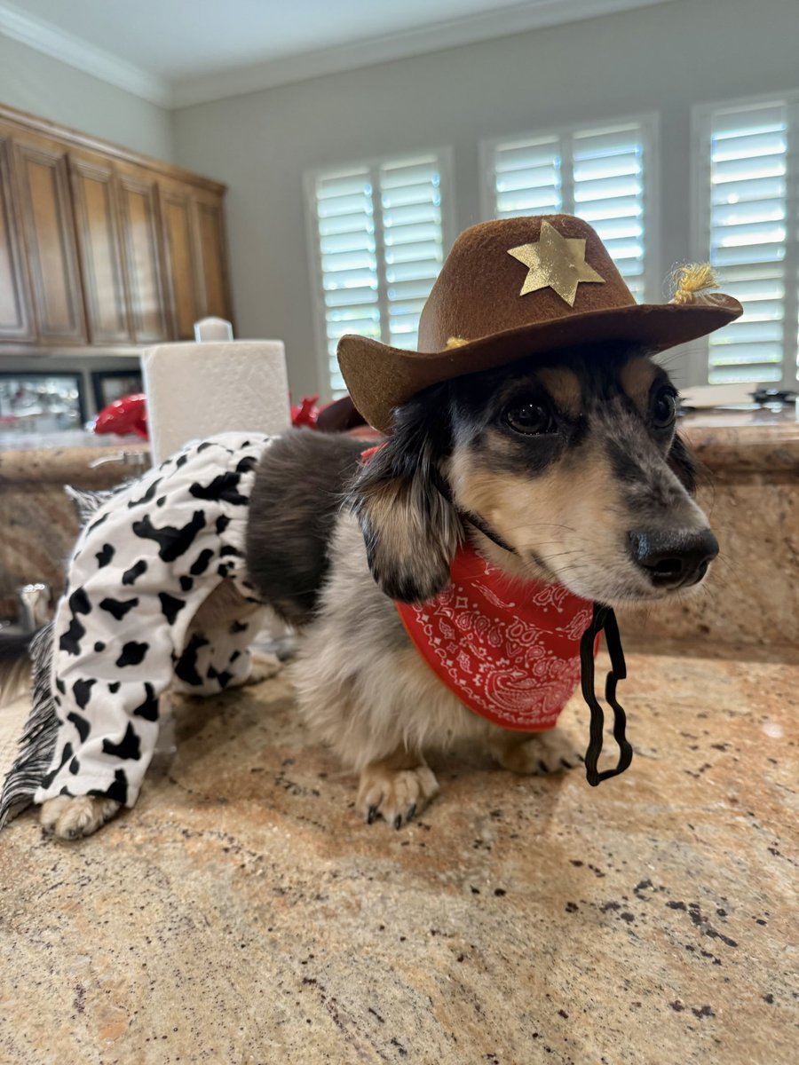 scoobsluvr's tweet photo. a preview of this year's halloween costume.. introducing rootin tootin rudy!!! https://t.co/xTW4wVgLCT