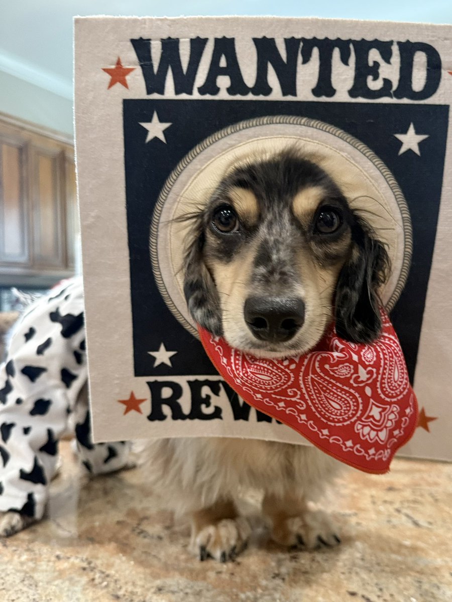 scoobsluvr's tweet photo. a preview of this year's halloween costume.. introducing rootin tootin rudy!!! https://t.co/xTW4wVgLCT