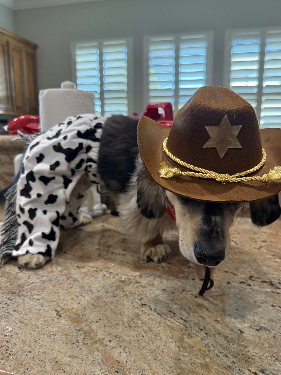 scoobsluvr's tweet photo. a preview of this year's halloween costume.. introducing rootin tootin rudy!!! https://t.co/xTW4wVgLCT
