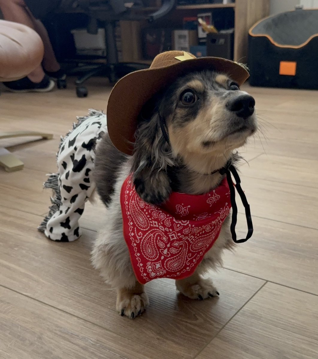 scoobsluvr's tweet photo. a preview of this year's halloween costume.. introducing rootin tootin rudy!!! https://t.co/xTW4wVgLCT