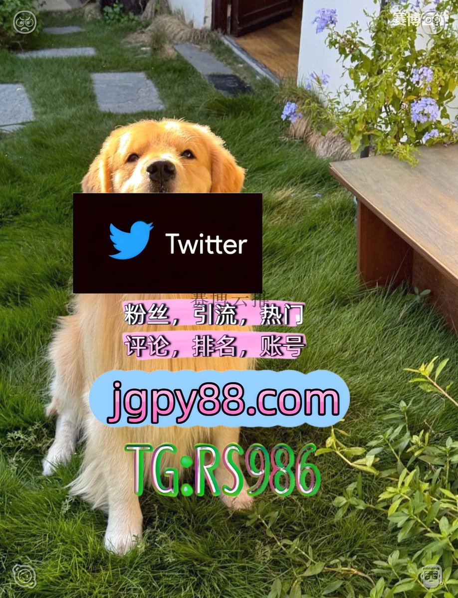 Satofymj's tweet photo. 把所有温柔留给岁月把所有努力留给自己🚜
推特账号购买代发 
上热门 霸屏🪐群发私信💐海外获客🍀 巴中推特矩阵管理、营销自动化、内容运营
自动脚本杭州海宁 海外流量、品牌推广、社媒营销
批量发帖、多账号管理、推广营销茂名 软件获客、海外推广、流量增长👺 https://t.co/bAUsgAVoVA