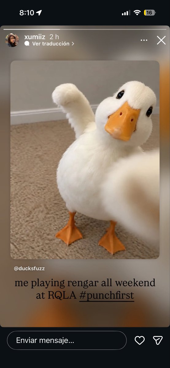 xumiizupdates's tweet photo. xumiiz vía instastory 🦆🤍 https://t.co/PzX8BQBvc9